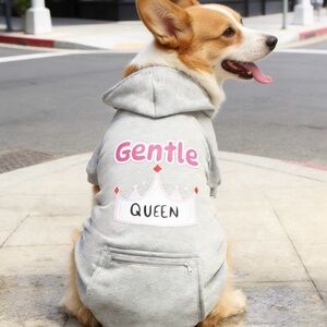 Gentle Queen Gray Dog Hoodie